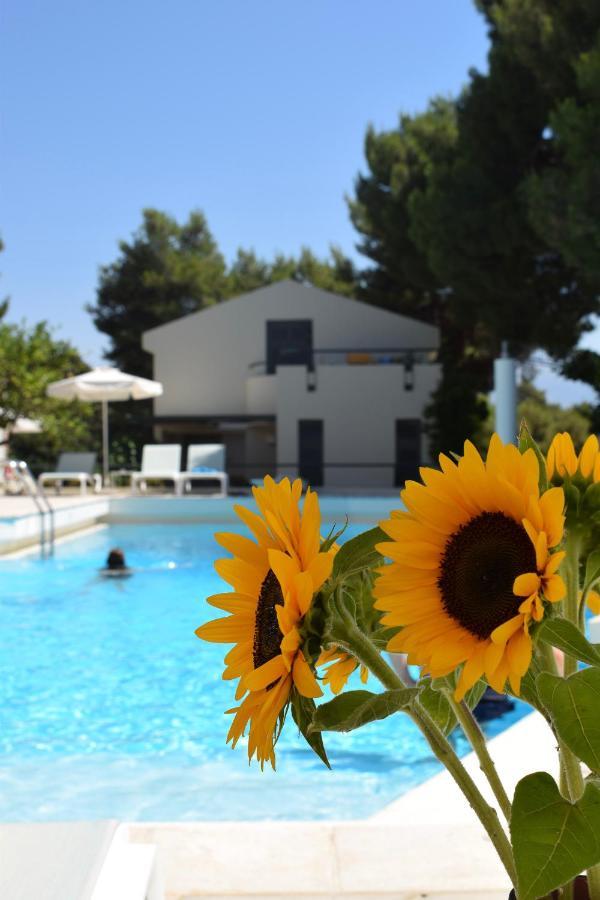 Villa Pefki Chania  Exteriör bild